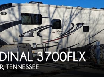 Used 2019 Forest River Cardinal 3700FLX available in Seymour, Tennessee