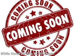 New 2021 Starcraft Super Lite 311BH 2-BdRM Double Slide, Rear Bunkhouse available in Williamstown, New Jersey