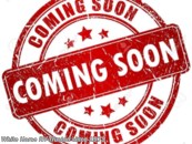 2021 Forest River Cherokee 324TS